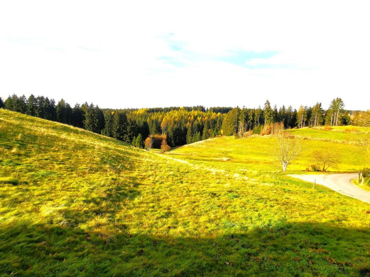 Ferienwohnung Am Bergmannsbrunnen シェーンハイデ エクステリア 写真