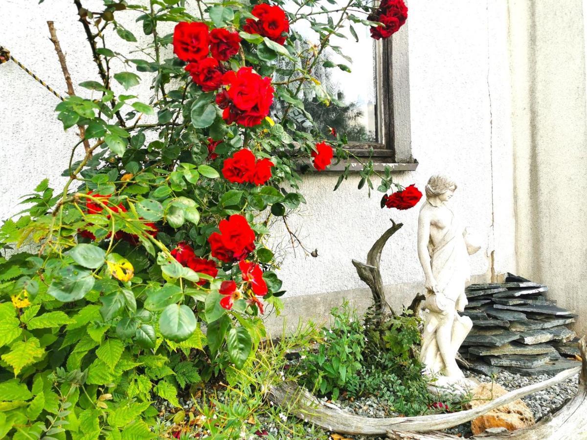 Ferienwohnung Am Bergmannsbrunnen シェーンハイデ エクステリア 写真