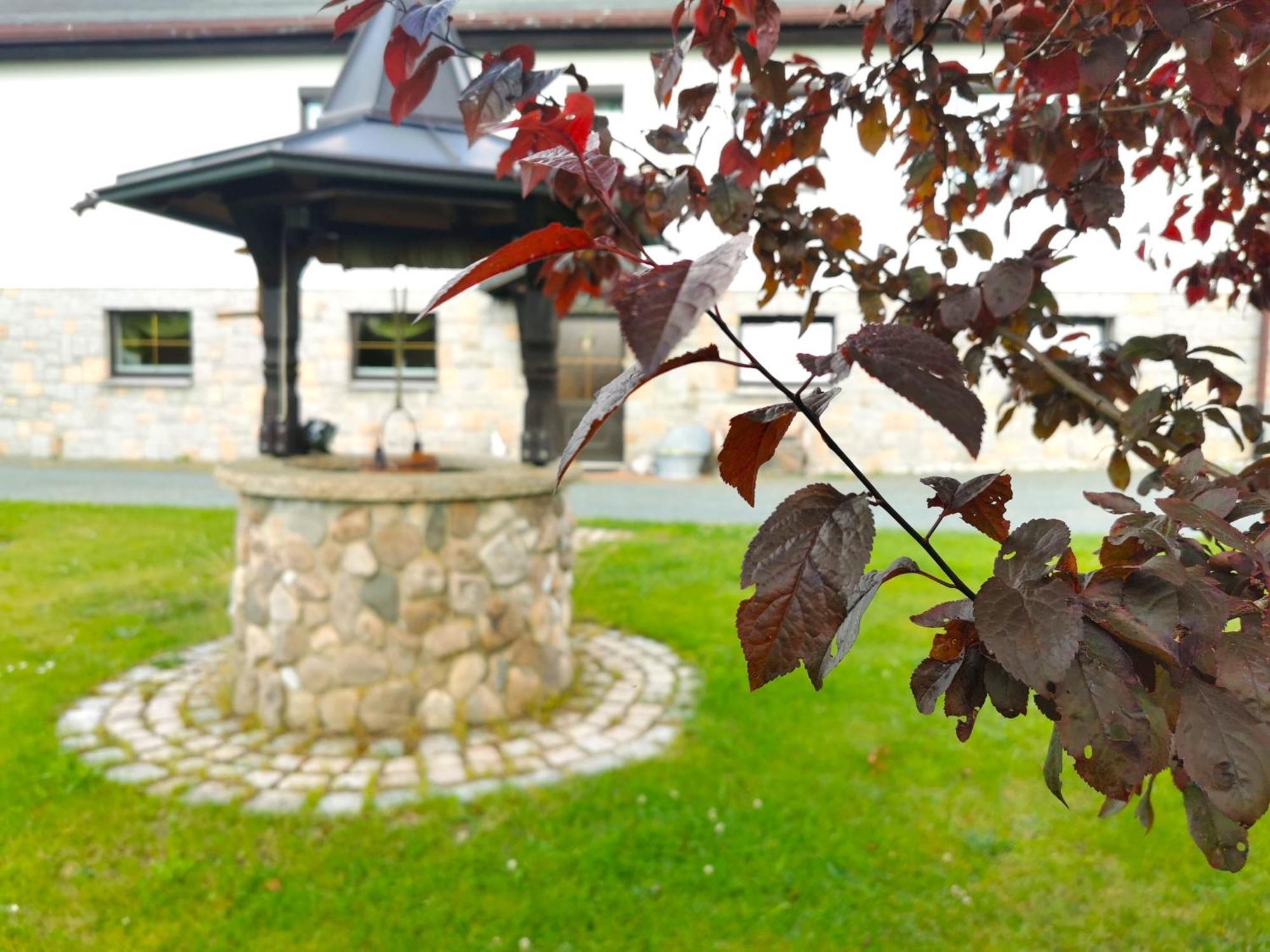 Ferienwohnung Am Bergmannsbrunnen シェーンハイデ エクステリア 写真